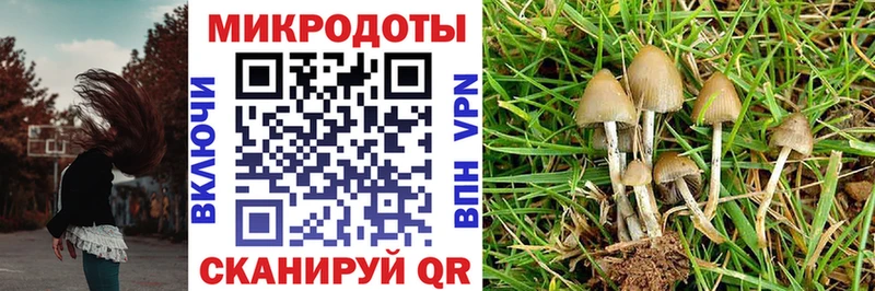 что такое   Бахчисарай  Галлюциногенные грибы Magic Shrooms 